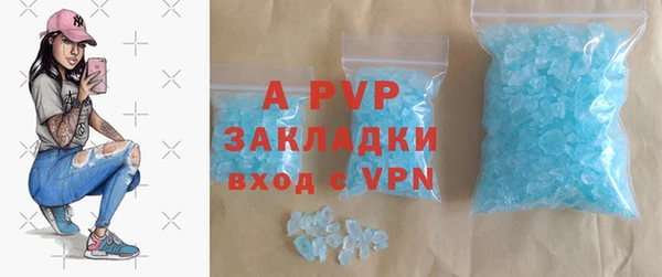 стаф Арсеньев