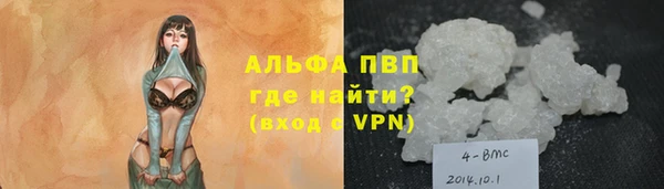 стаф Арсеньев
