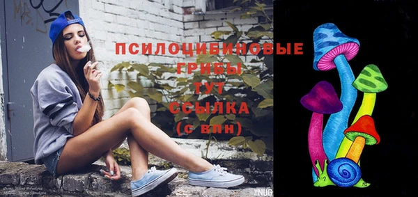 стаф Арсеньев