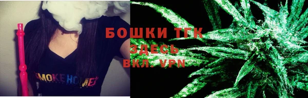 PSILOCYBIN Корсаков